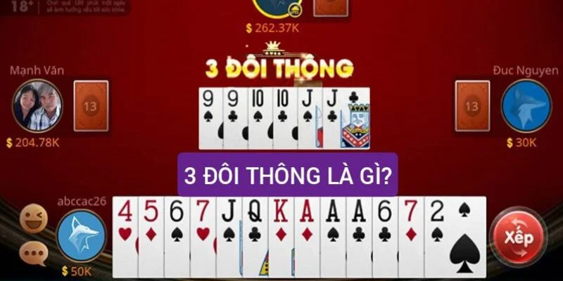 3 cặp lá thông có thể làm được những gì? Đọc người cầm ba cặp lá thông