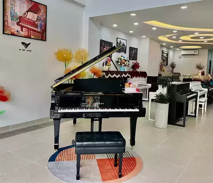 VP Art House | Phân phối đàn piano chính hãng