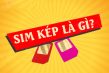 sim lặp kép là gì