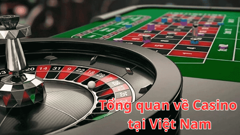 Việt Nam có bao nhiêu sòng bạc – Sòng bạc nào được phép hoạt động?